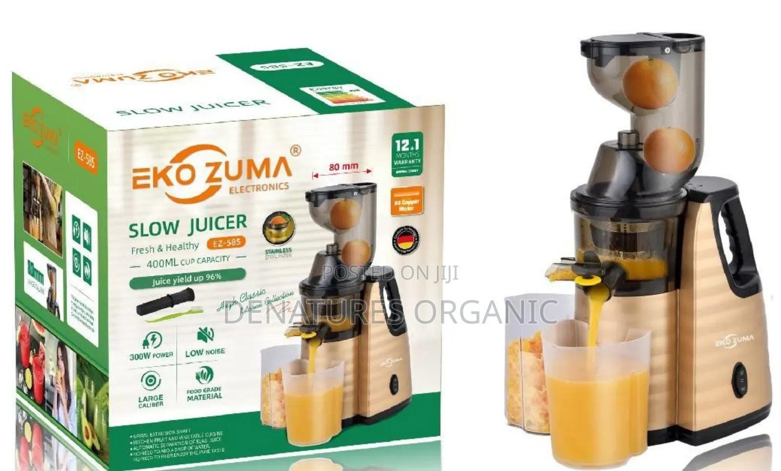 EKO ZUMA Electric Slow Juicer, Low Noise Cold Press Extractor
