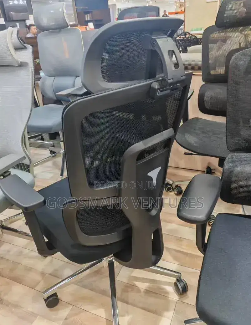 Ergonomic Office Chair With Lumbar Support
