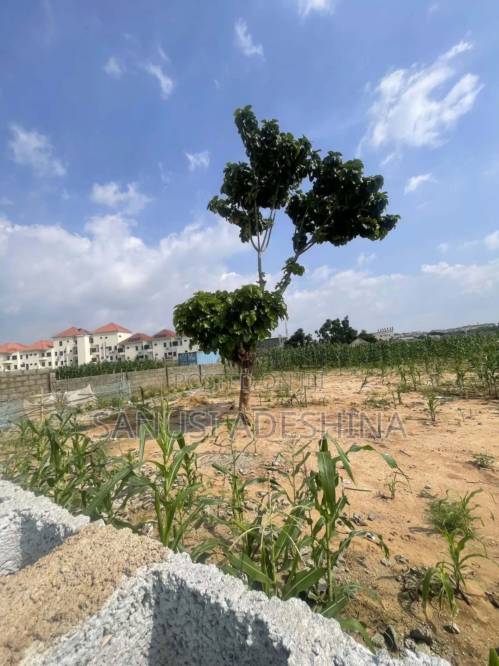 2 Hectares of Residential Land at Jahi Gilmore Abuja Area