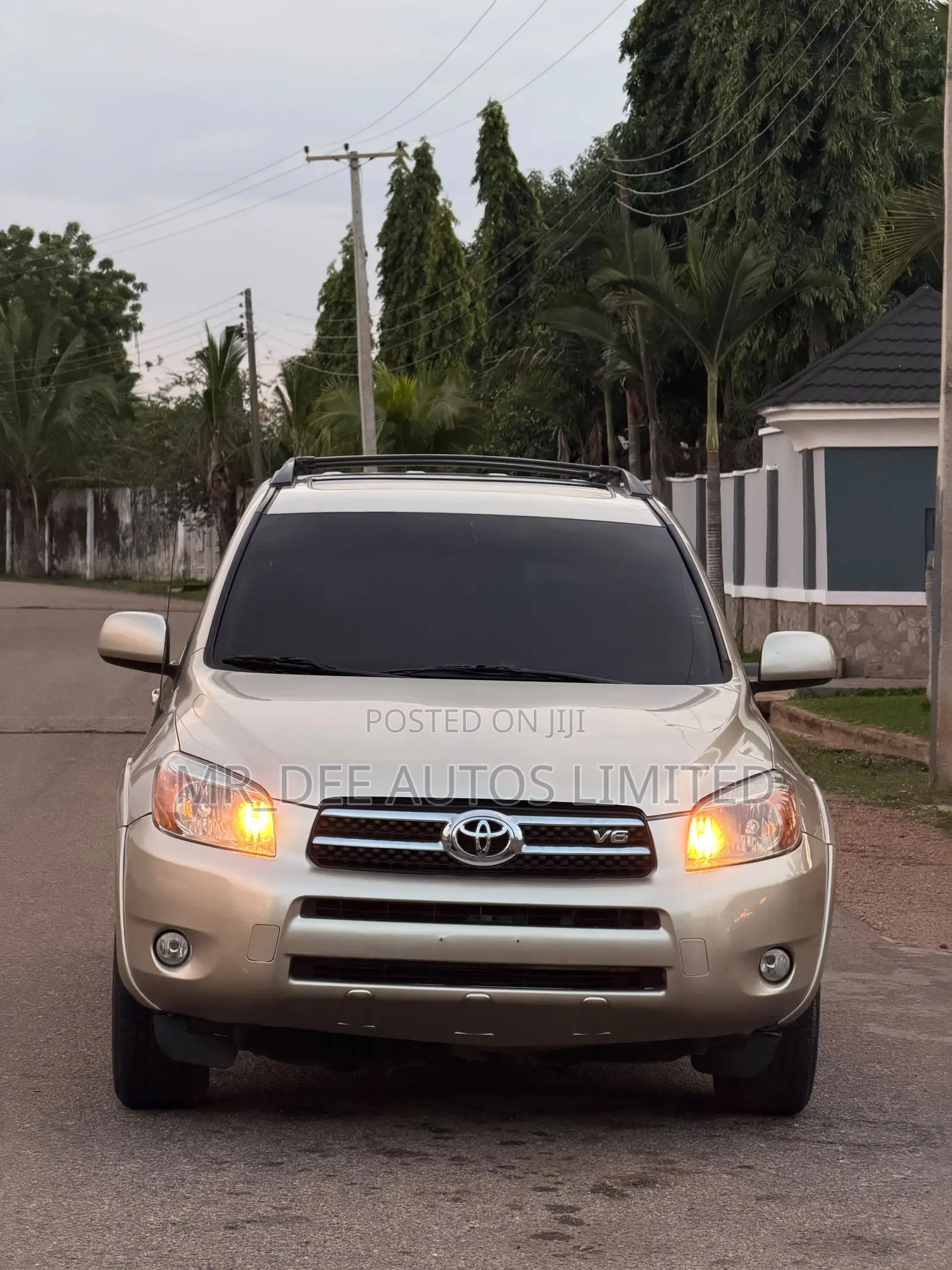 Toyota RAV4 2008 Gold
