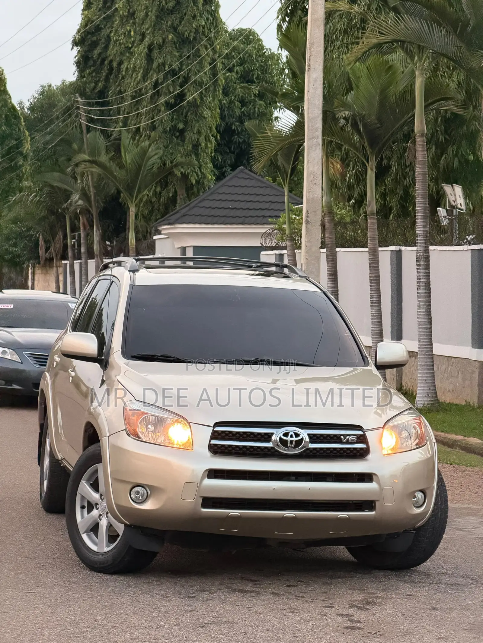 Toyota RAV4 2008 Gold