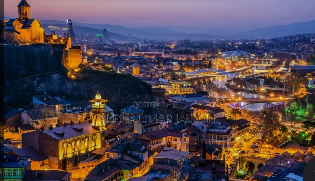Georgia 1 Year Visit Visa With Job Link