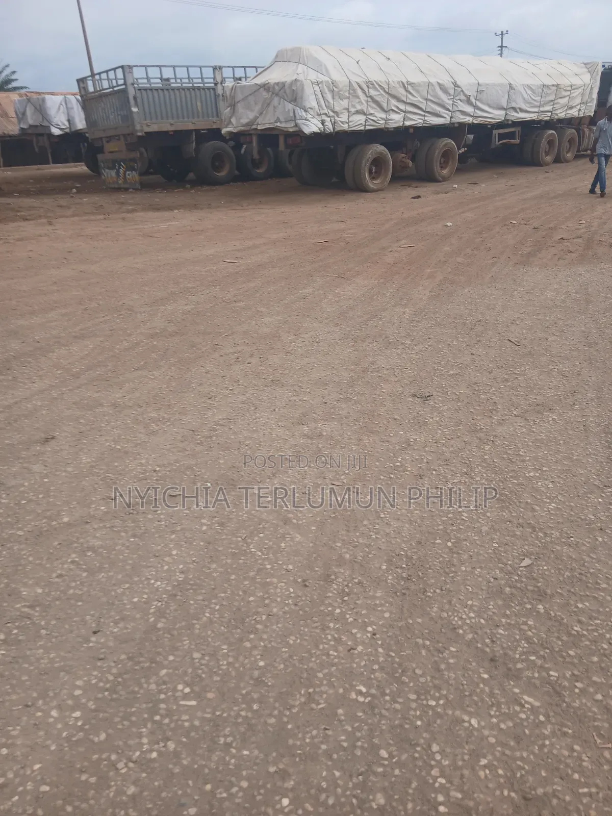 Bua and Dangote Cement Dealer Nationwide