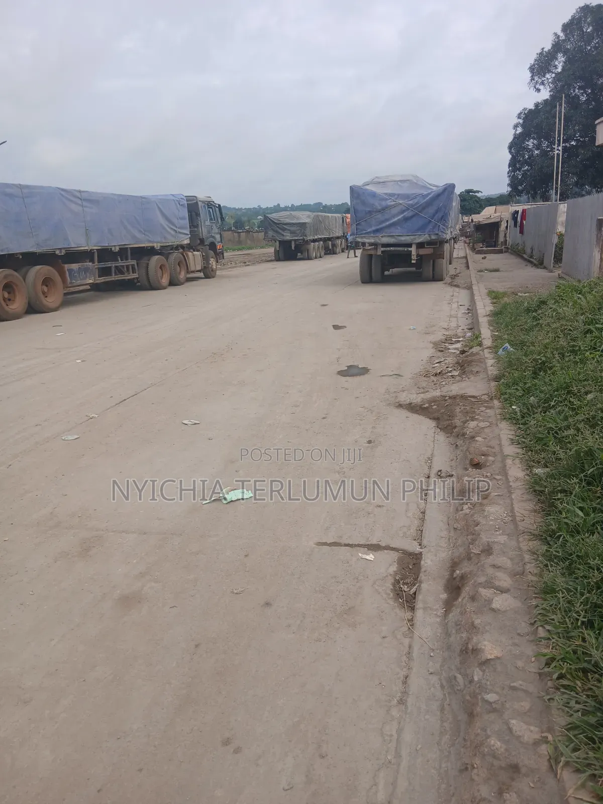 Dangote and Bua Cement Best Distributor Nationwide