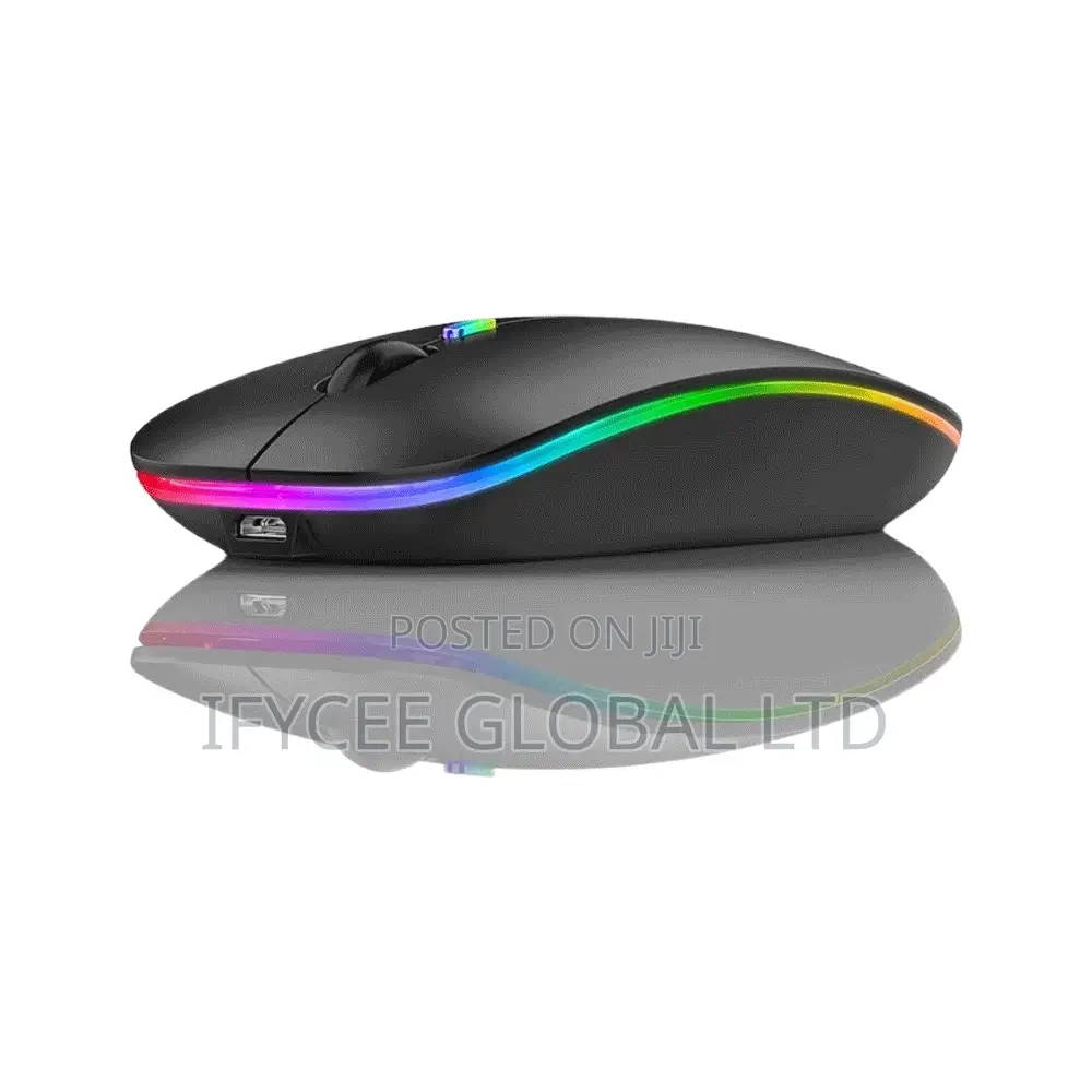 Rechargeable Wireless Mouse