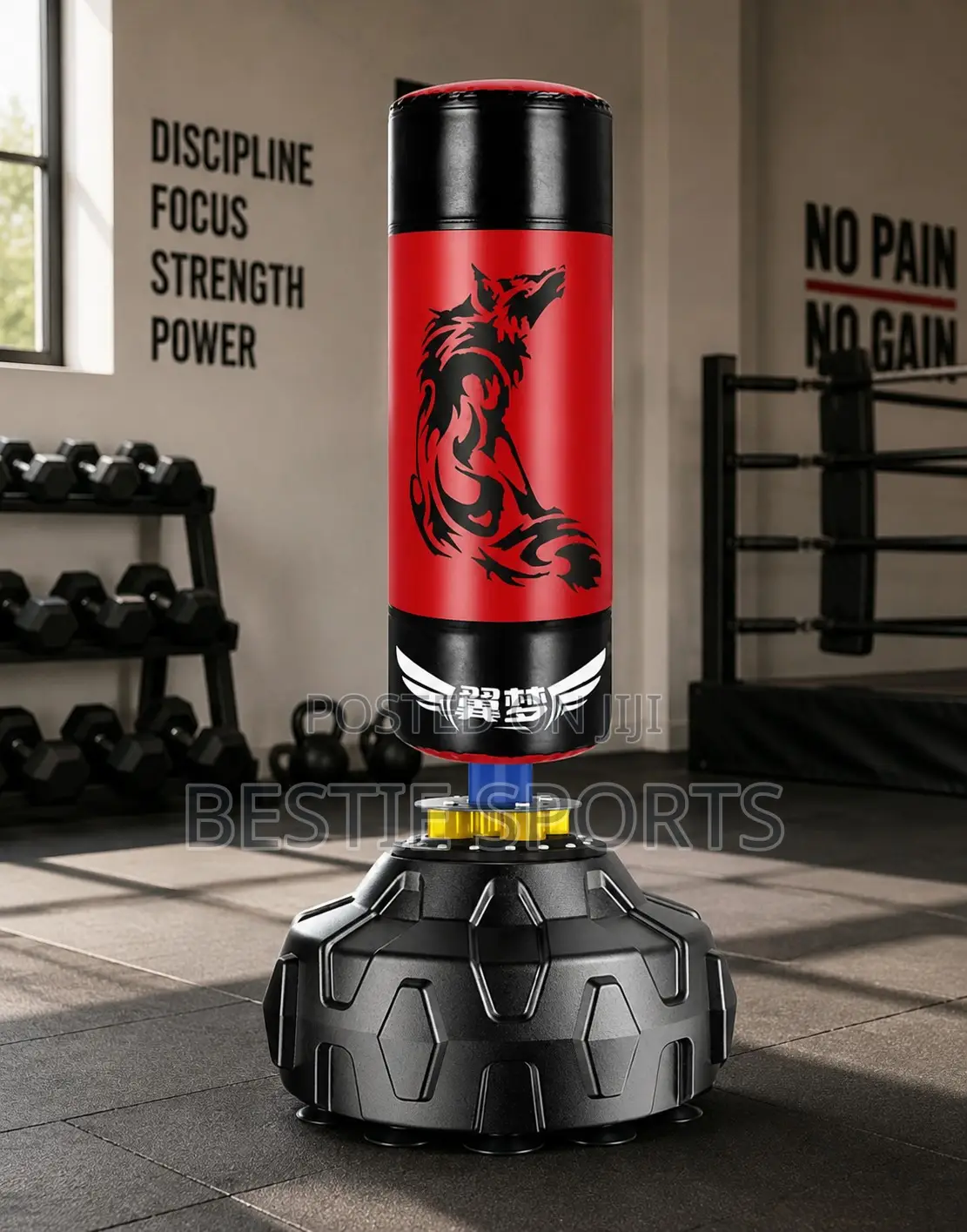 Standing Punching Bag