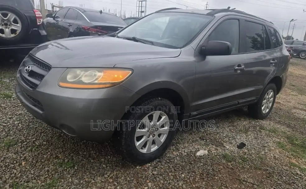 Hyundai Santa Fe 2008 Gray