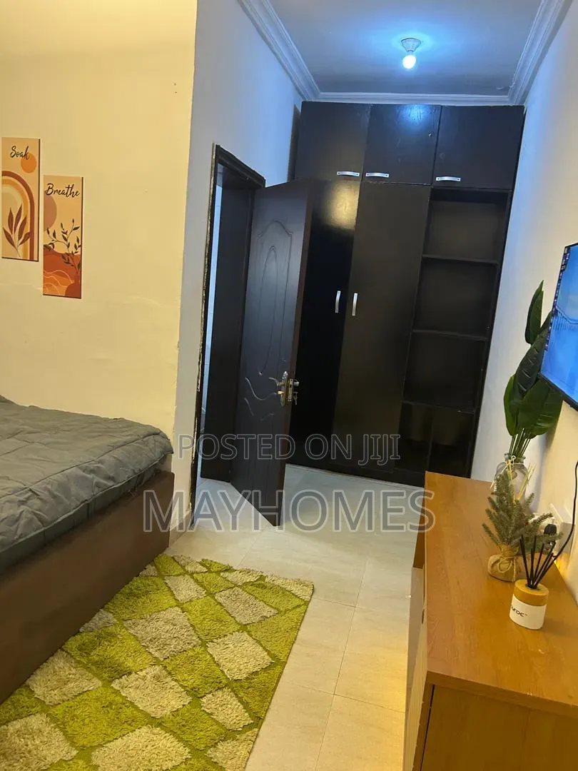 A Room in a Shared Apartment