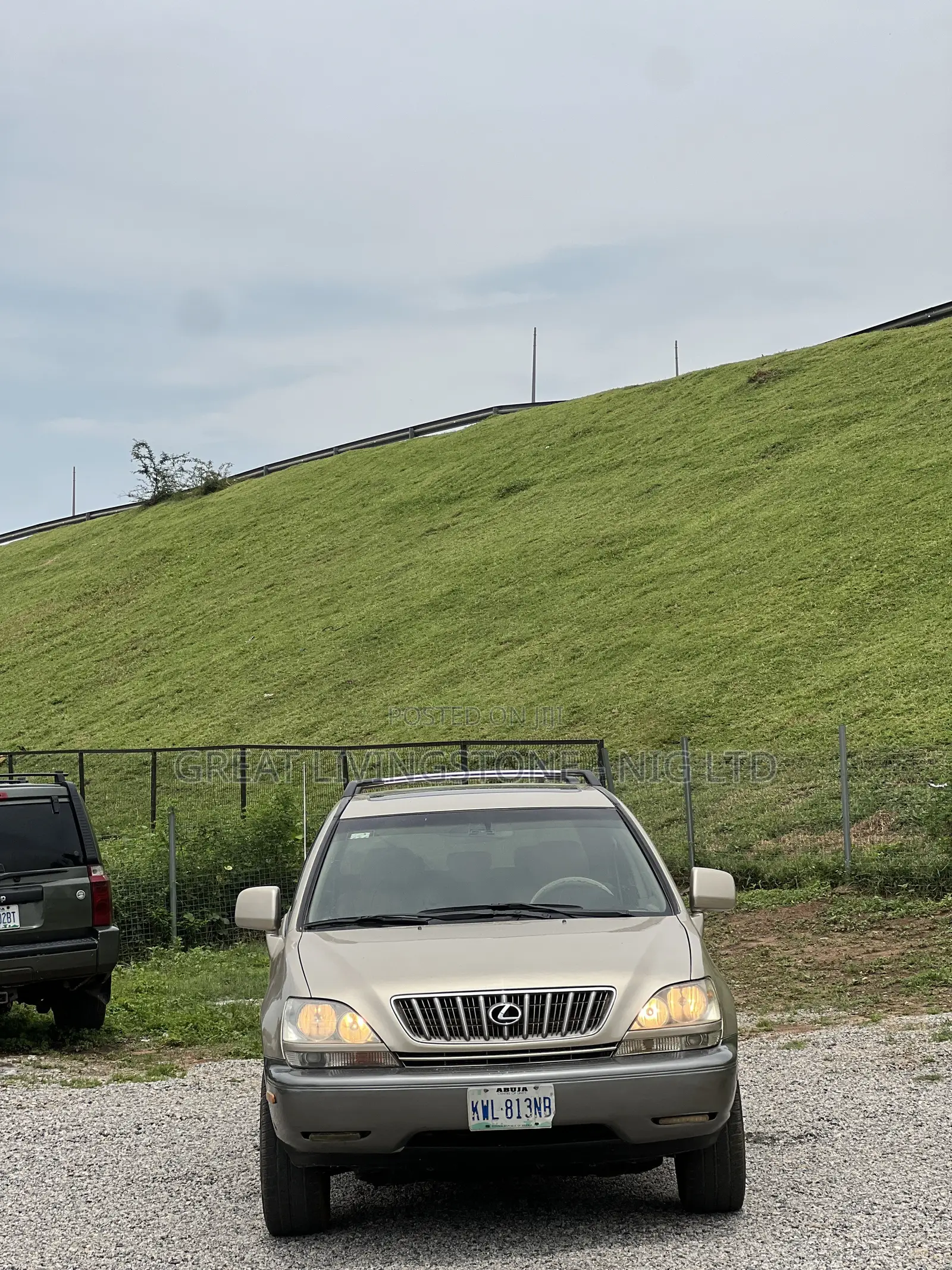 Lexus RX 300 4WD 2004 Gold