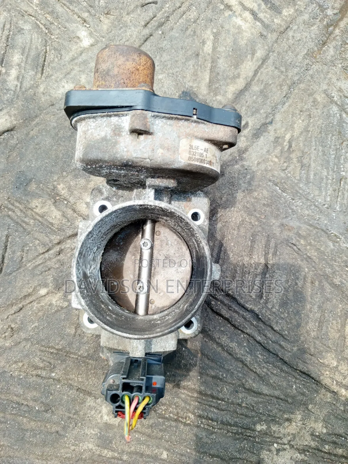 Trutle Mouth Ford V8