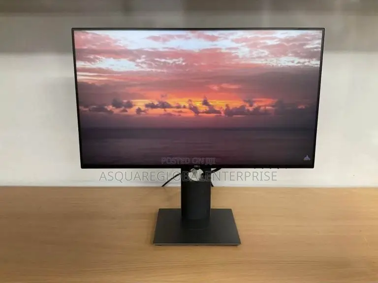 Dell P2419hc 24 Inch USB C Professional Monitor