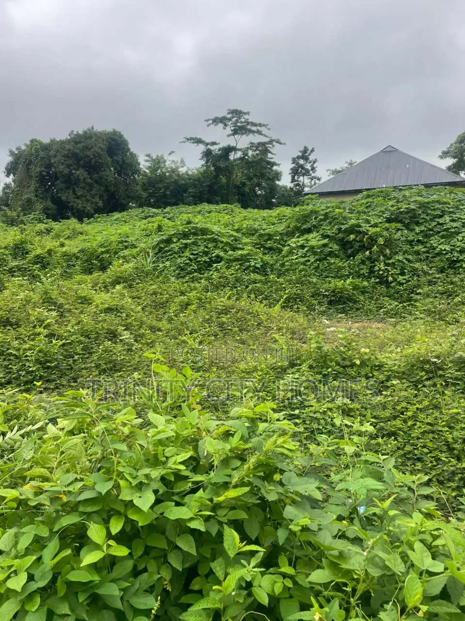 2 Acres of Land at Oui, Ile-Ife