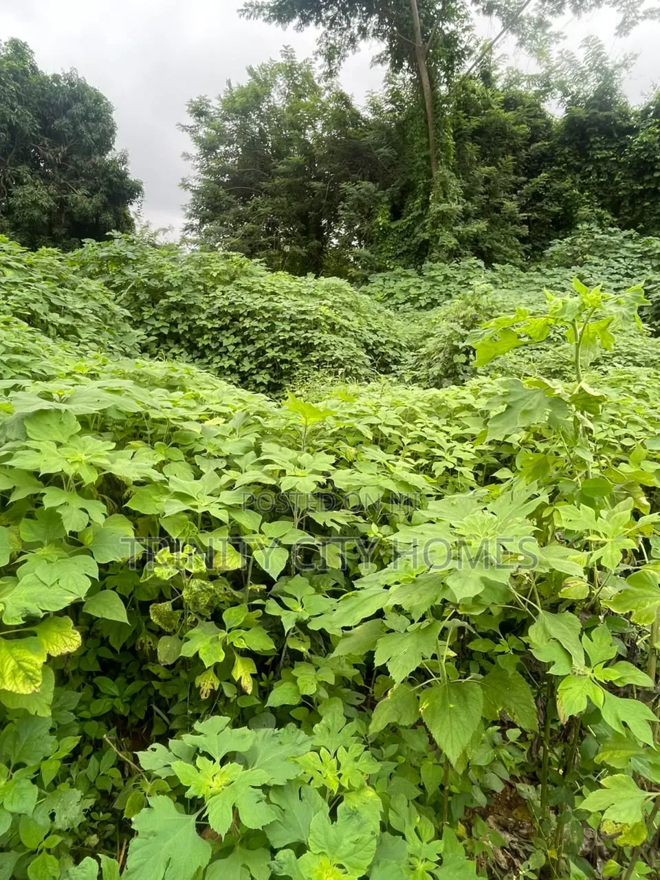 3plots of Land Available at Parakin Estate Ile-Ife