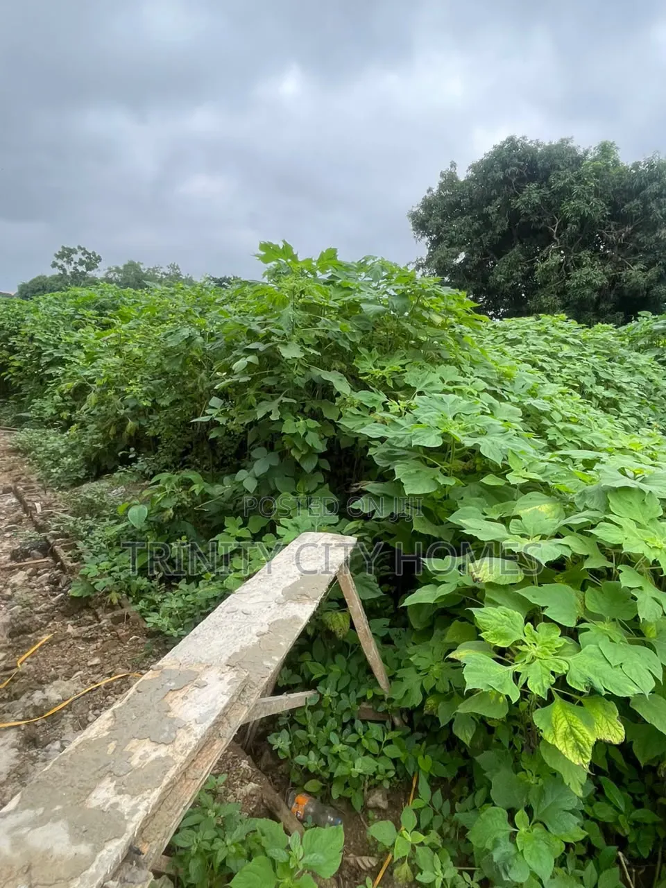 A Plot of Land Available at Parakin Estate Ile-Ife