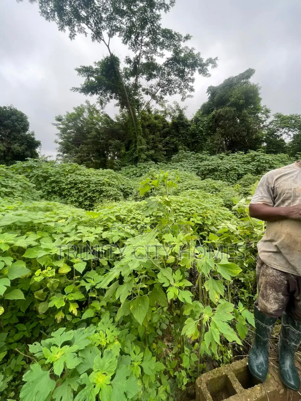A Plot of Land Available at Parakin Estate Ile-Ife