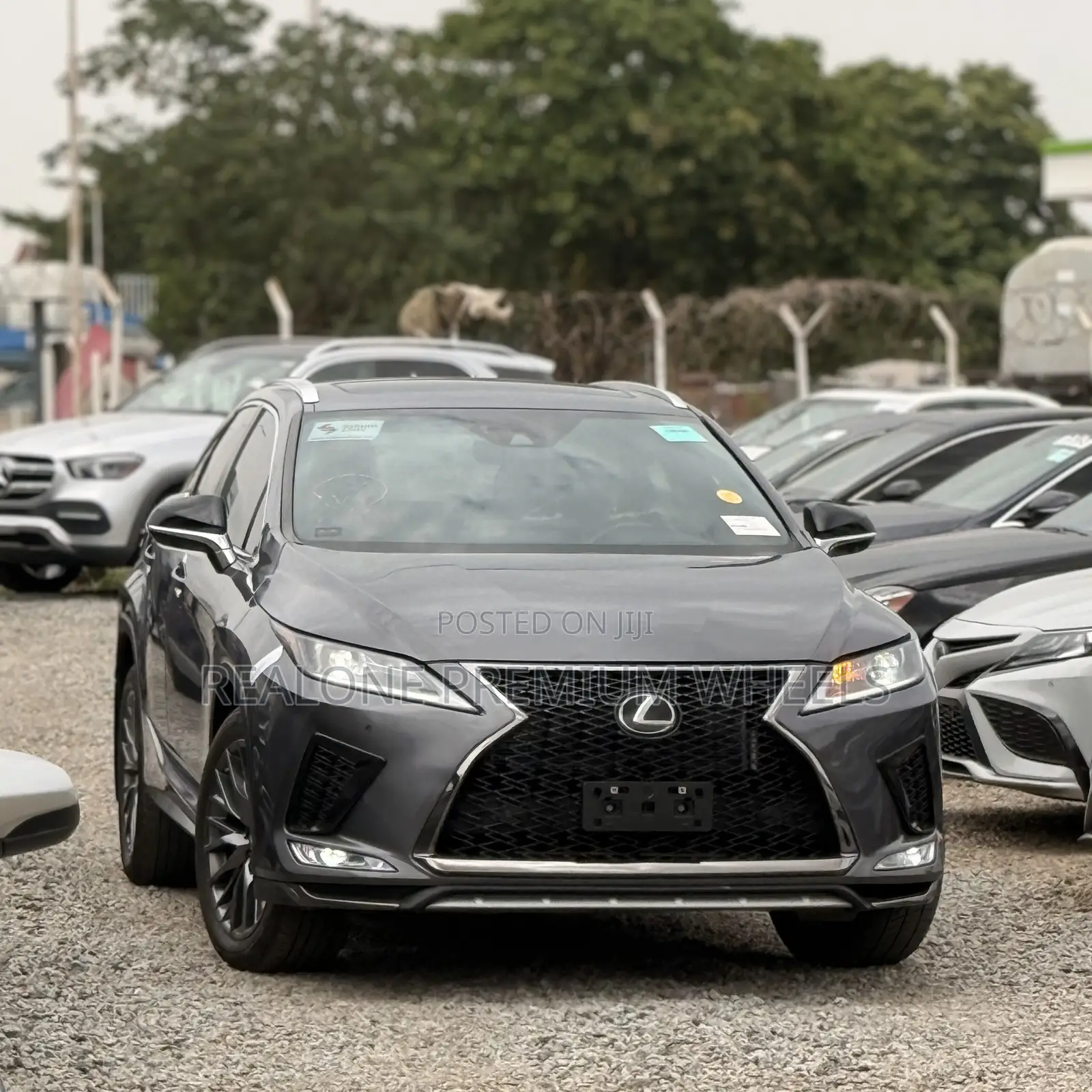 Lexus RX 350 F SPORT Appearance AWD 2022 Gray