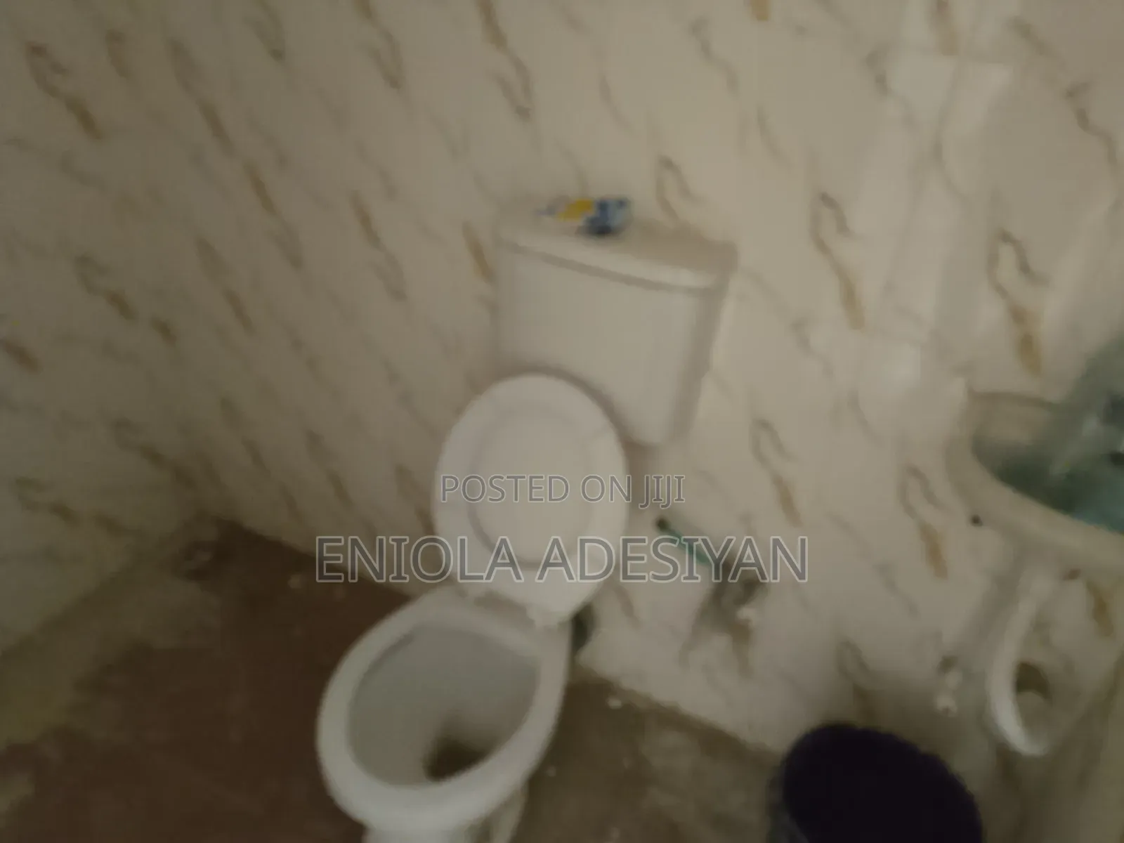 1bdrm Block of Flats in Igbolomu, Agric for rent