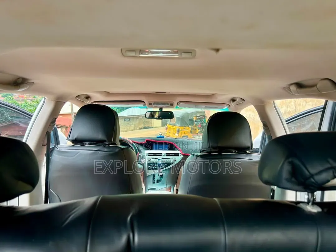Lexus RX 2010 Gray