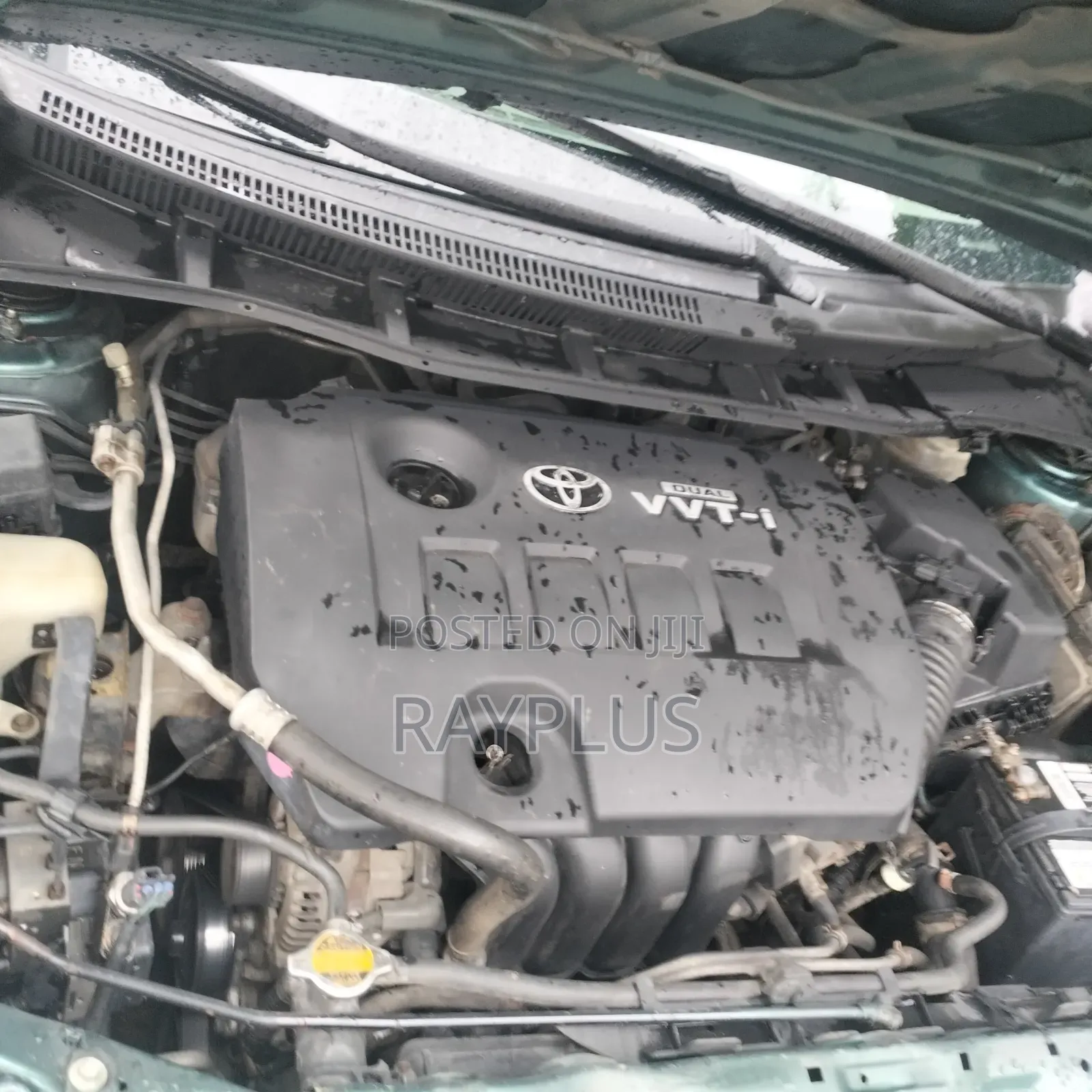 Toyota Corolla 2009 Green