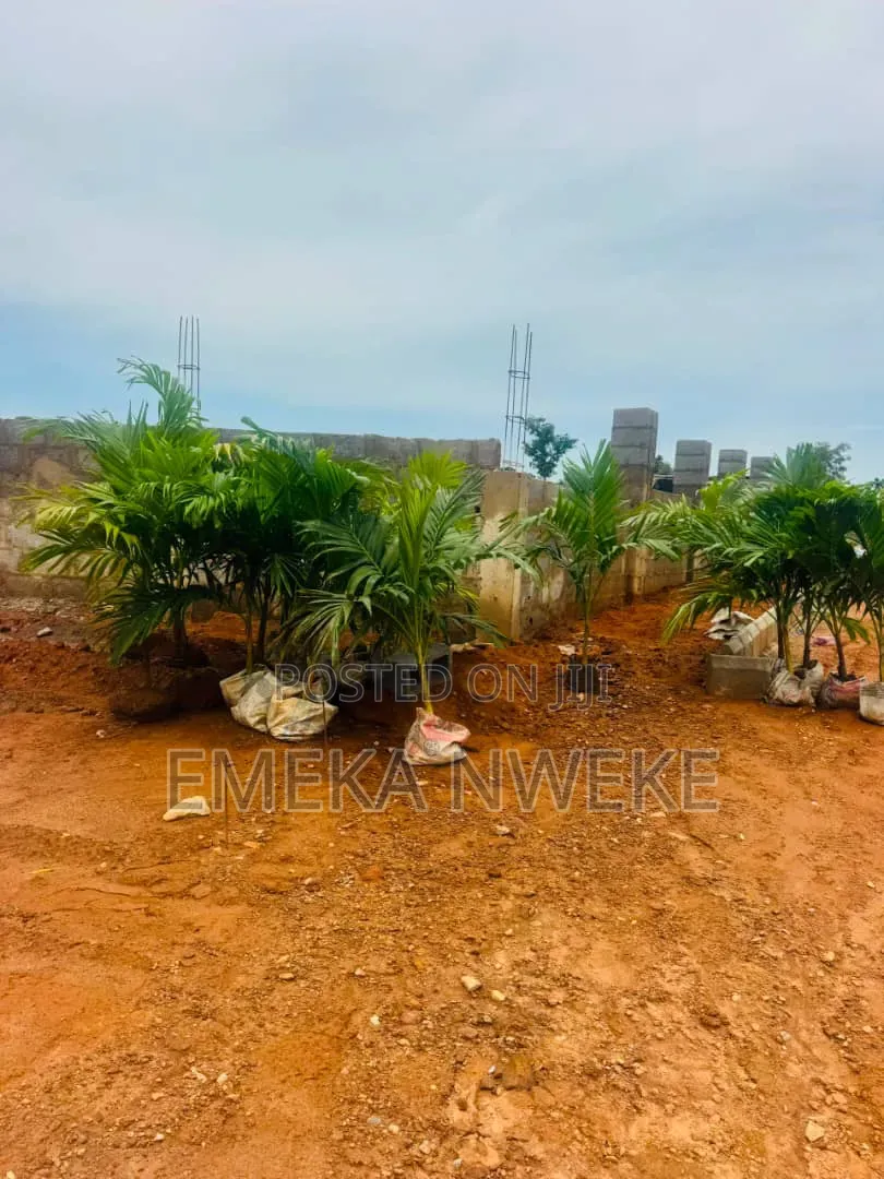 Estate Land for Sale in APO WASSA