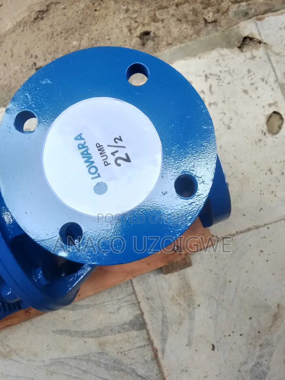 Standard 2/2 Lowara Pump Italian