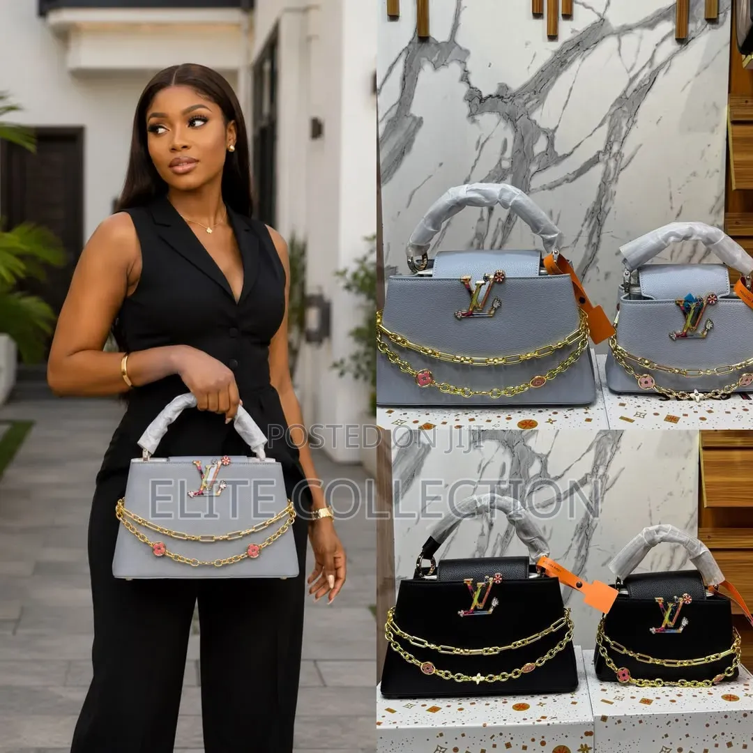Premium Louis Vuitton Luxury Big and Small Size Colors as Displayed