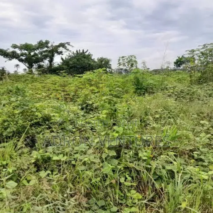 1,000sqm Land