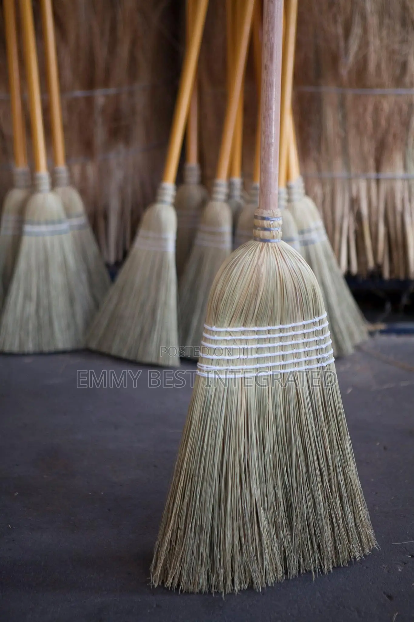 Tumut Millet Broom