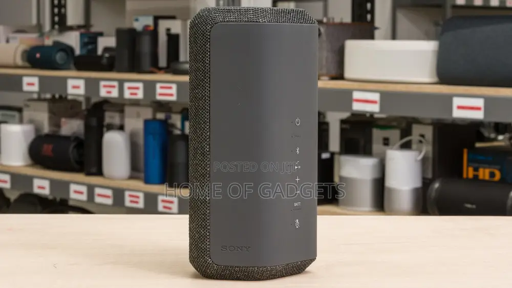 Sony SRS Xe-300