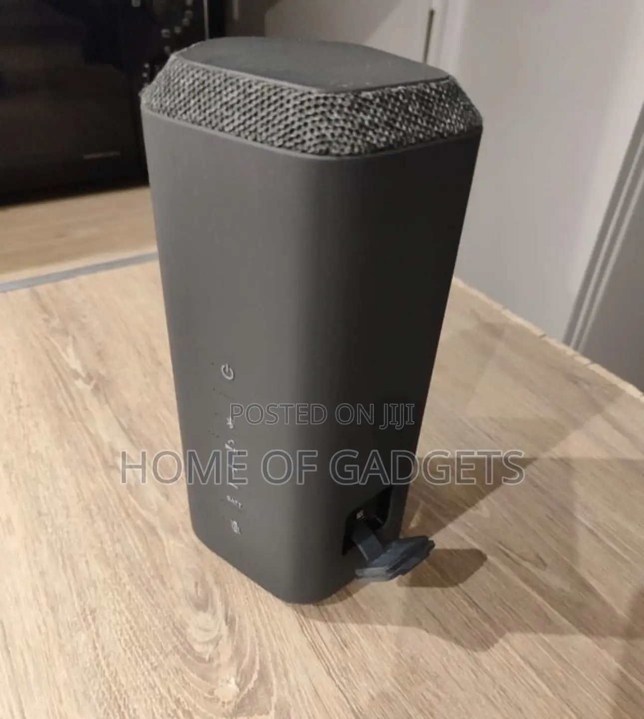 Sony SRS Xe-300