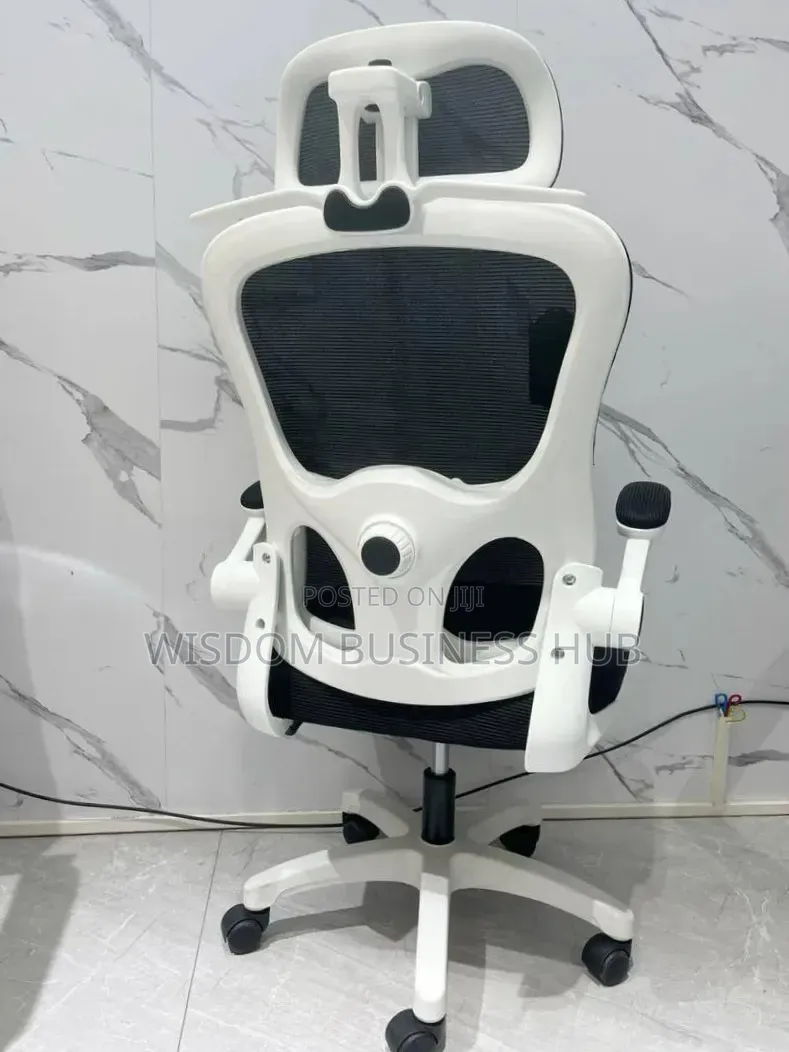 Ergonomic Office Chair With Lumber Support