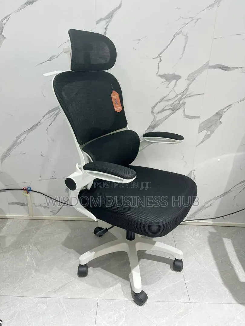 Ergonomic Office Chair With Lumber Support
