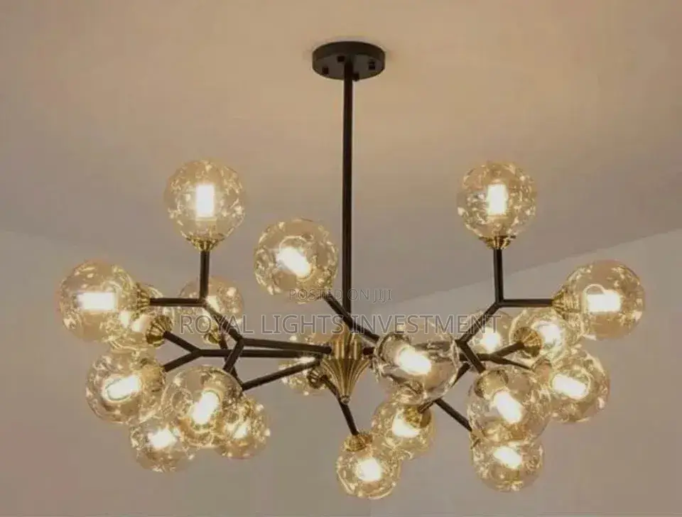 Luxurious Parlor,bedrooms and Dinnings Chandelier