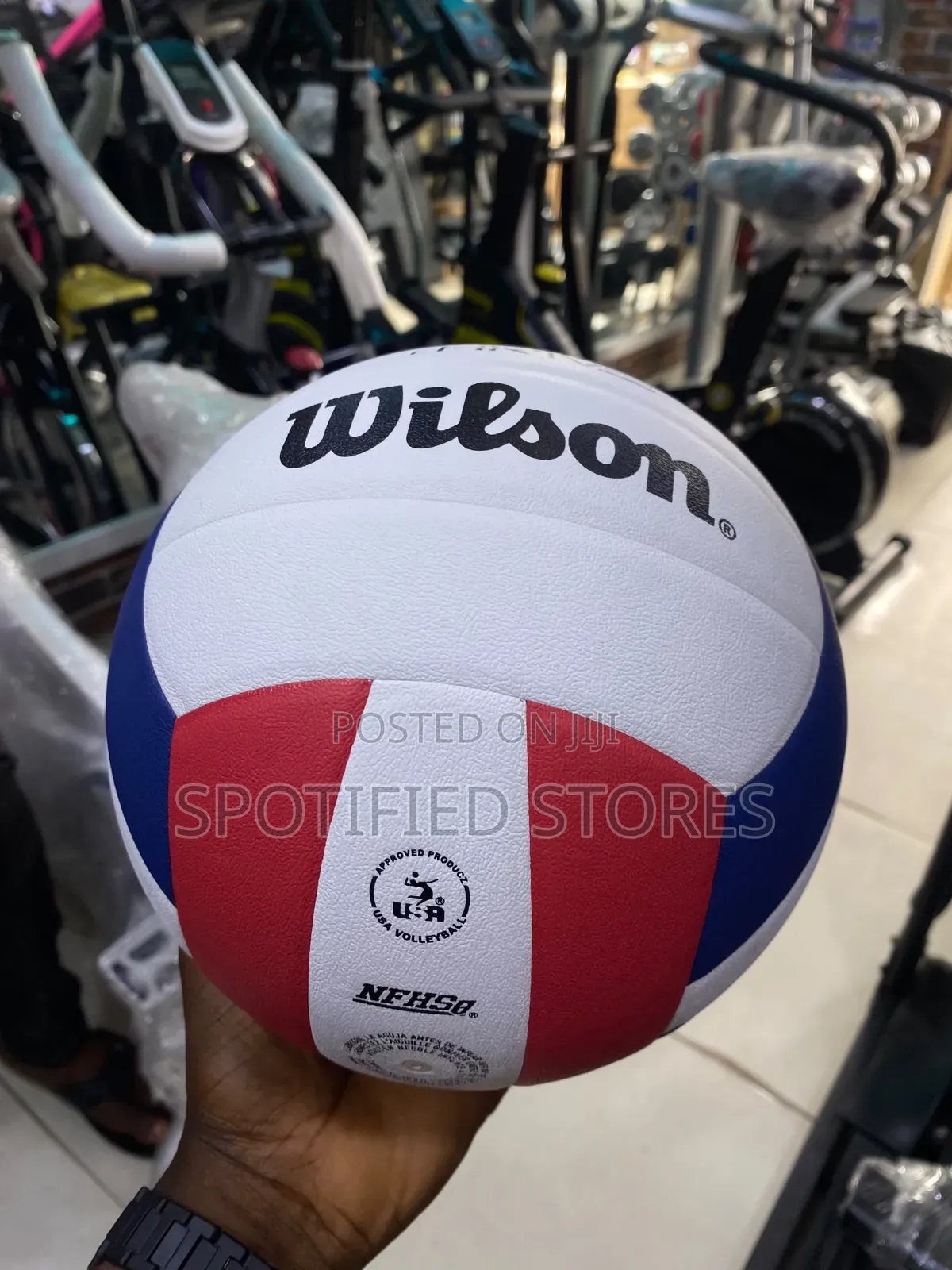 Wilson Volleyball