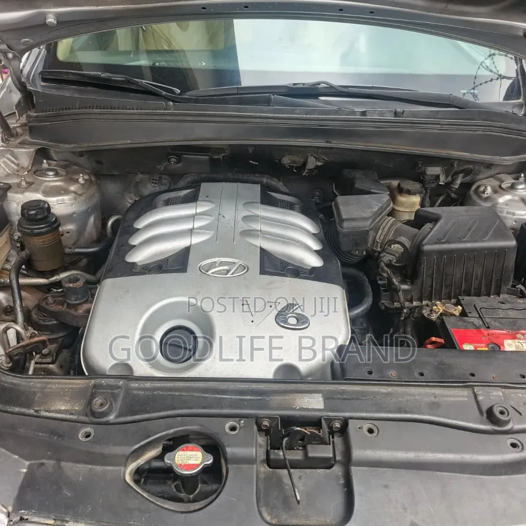 Hyundai Santa Fe 3.3 Limited 2008 Silver