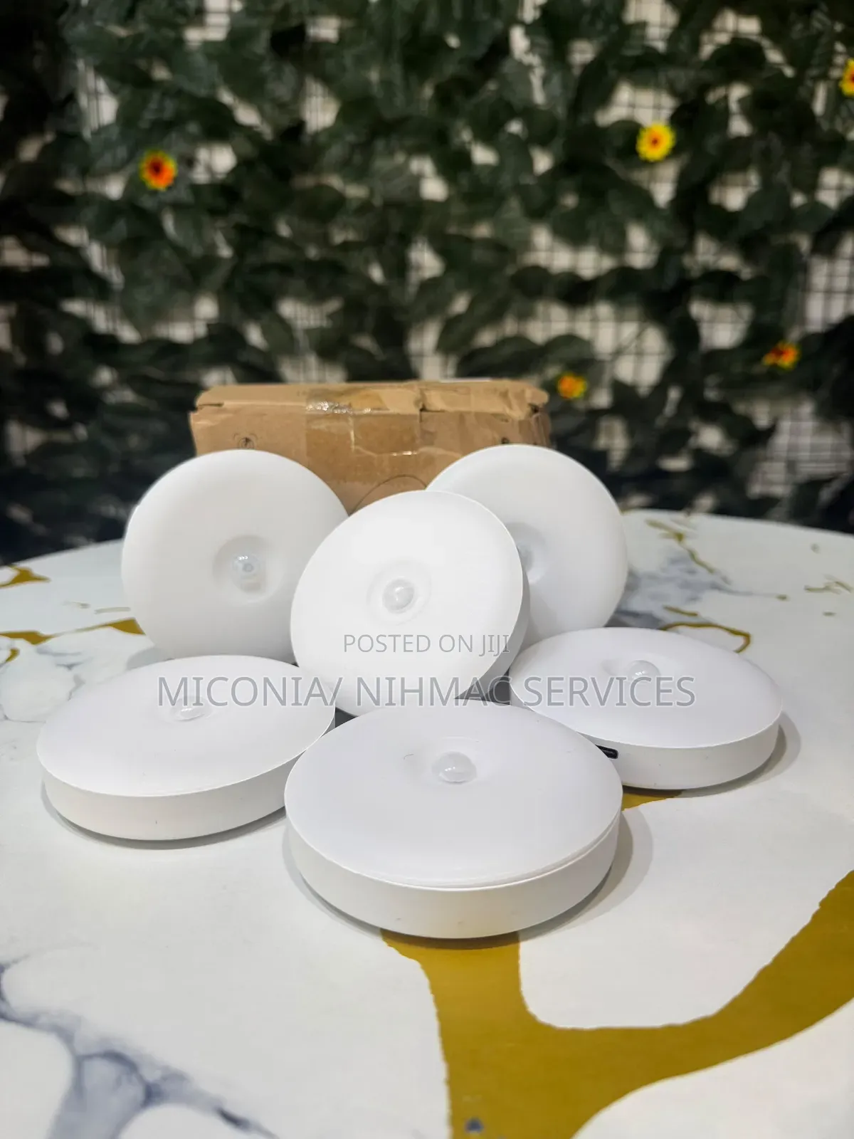 Night Light Sensor