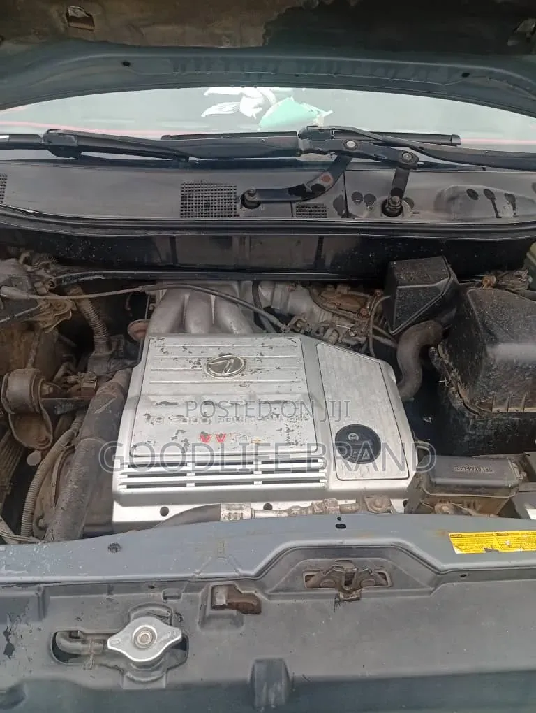 Lexus RX 300 2001 Silver