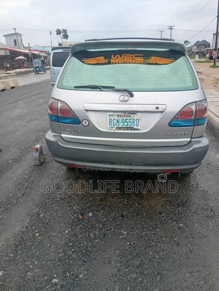Lexus RX 300 2001 Silver