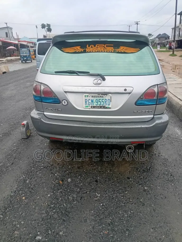Lexus RX 300 2001 Silver