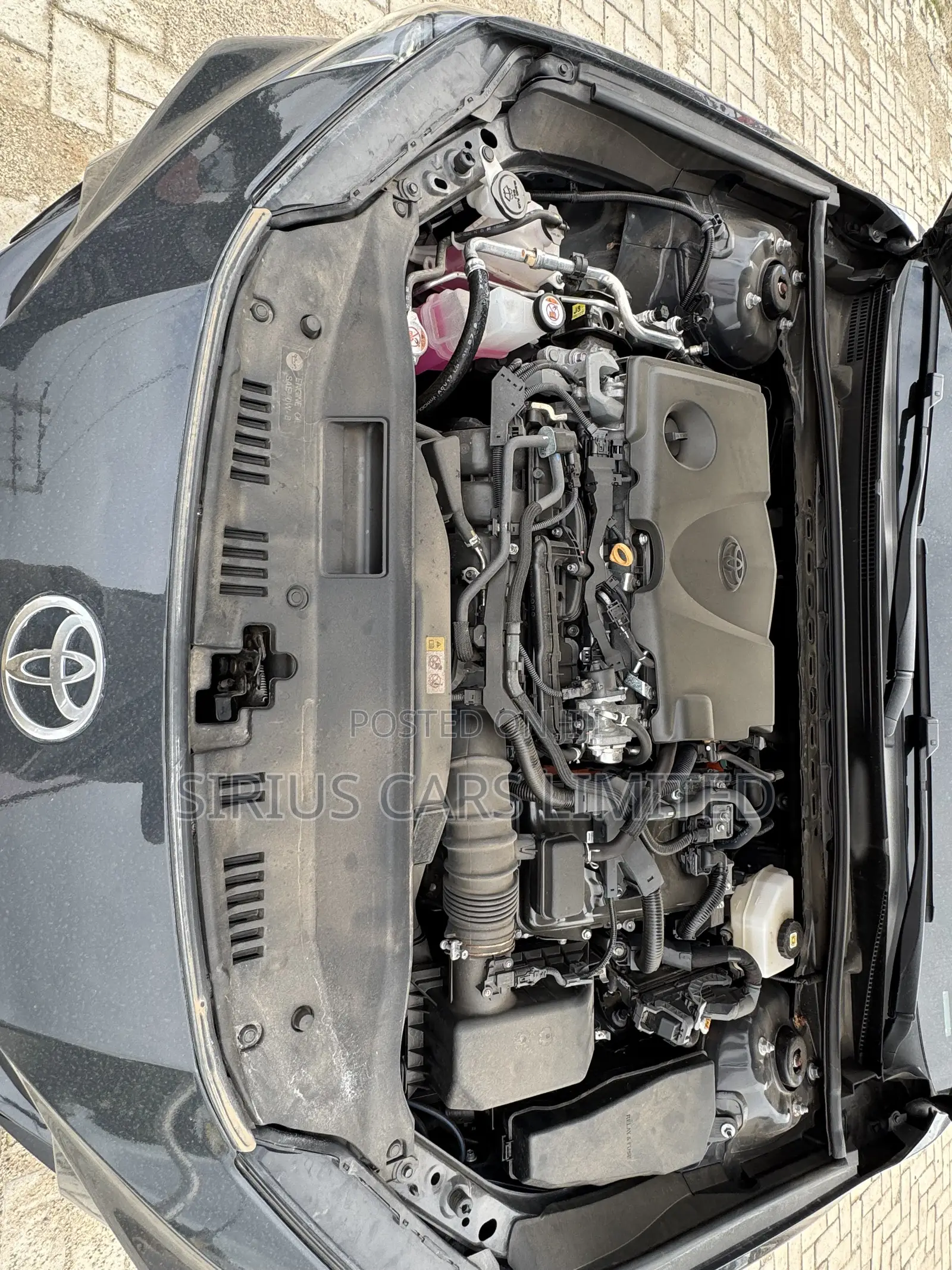 Toyota Camry SE 2025 Gray