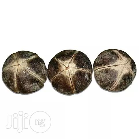 Goron Tula / Silky Kola- Pack Of 10