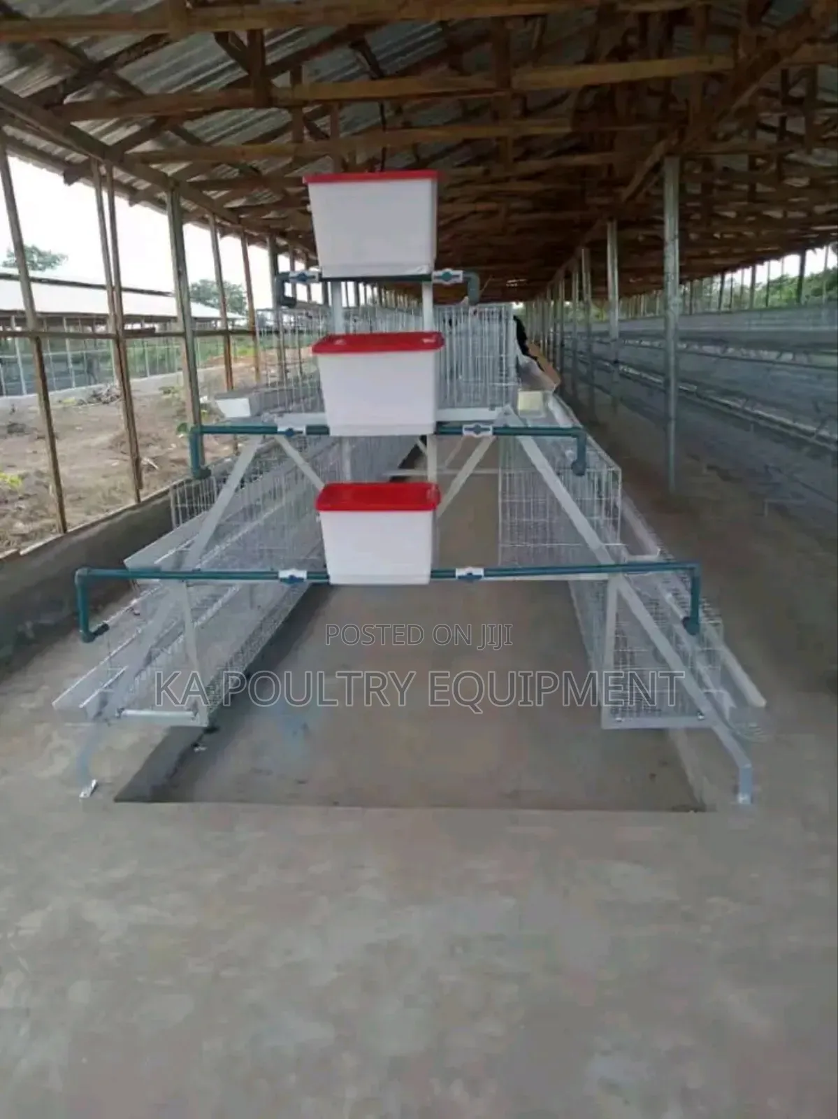 Imported Cage