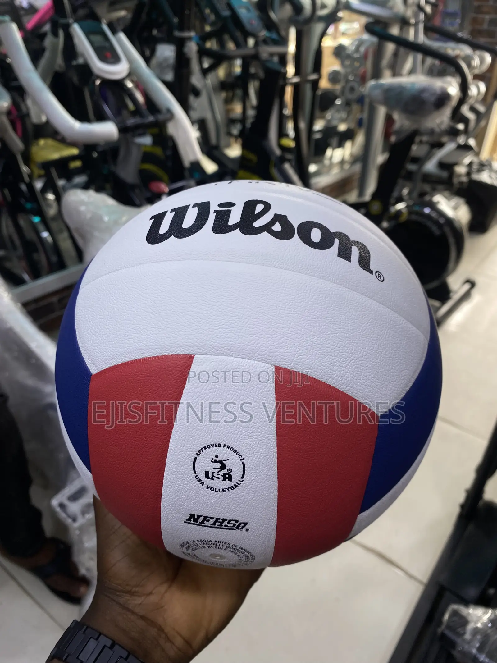 Wilson Volleyball