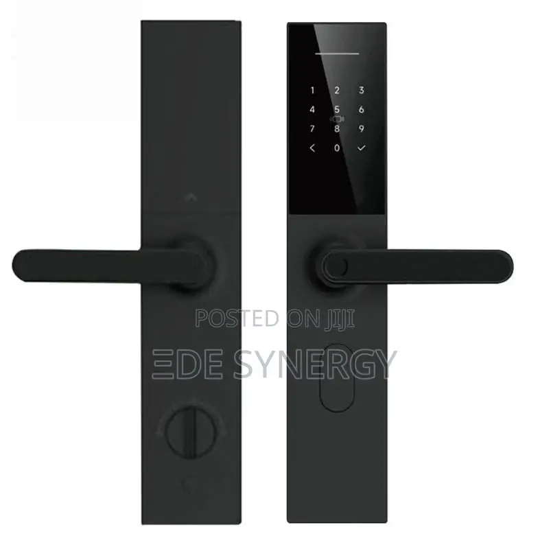 Main Entrance Intelligence Digital Biometric Smartlock