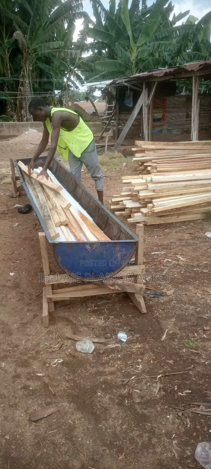 Roofing Wood Treatment for Termites