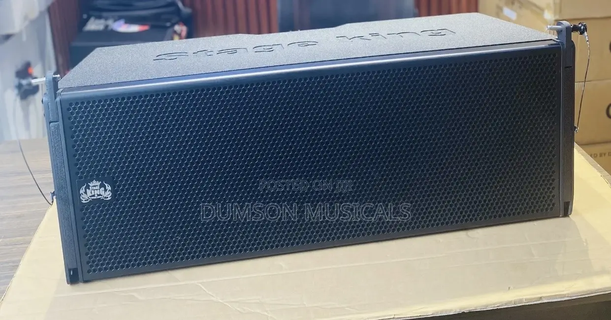 Stage King Double 10 Inches Line Array Speakers.