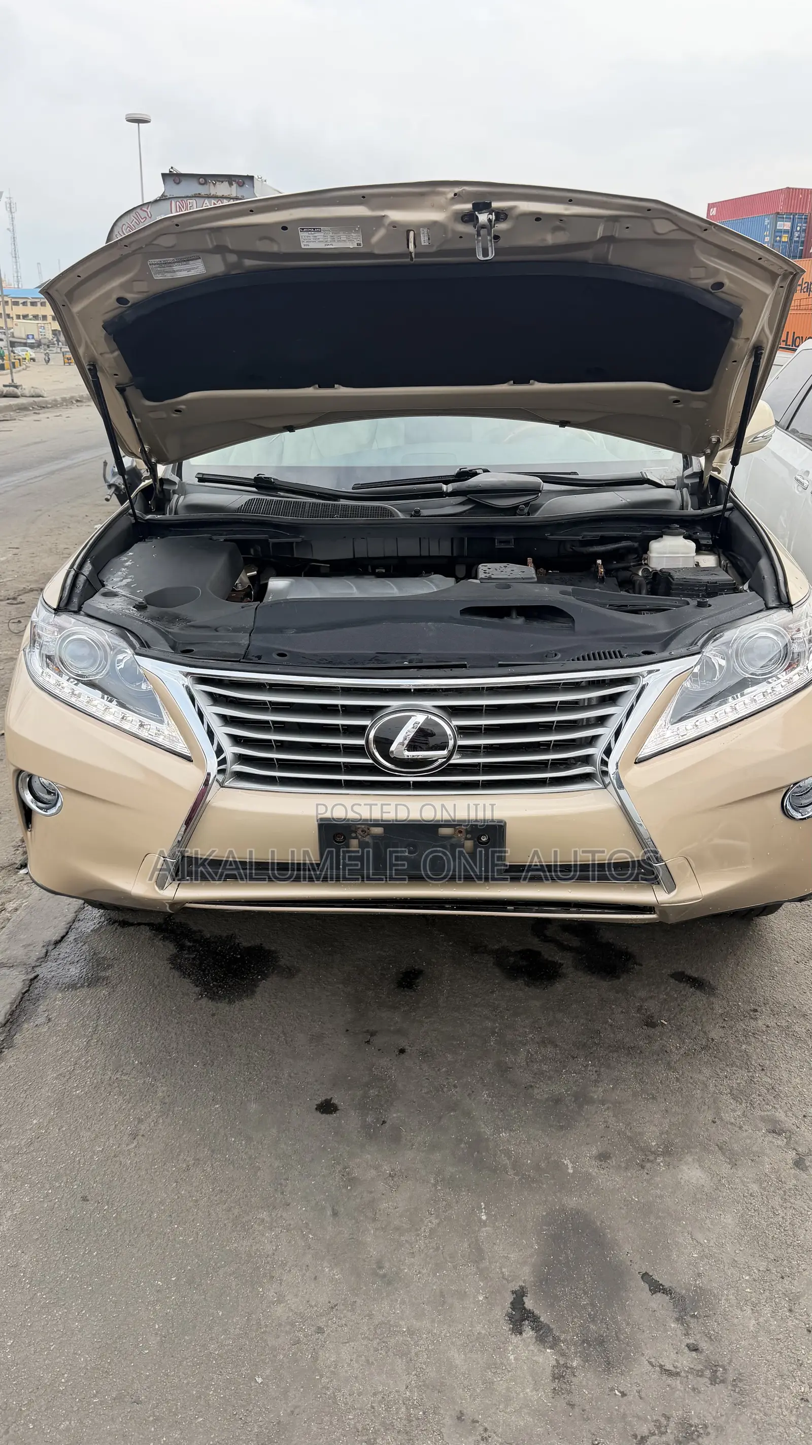 Lexus RX 350 2010 Gold