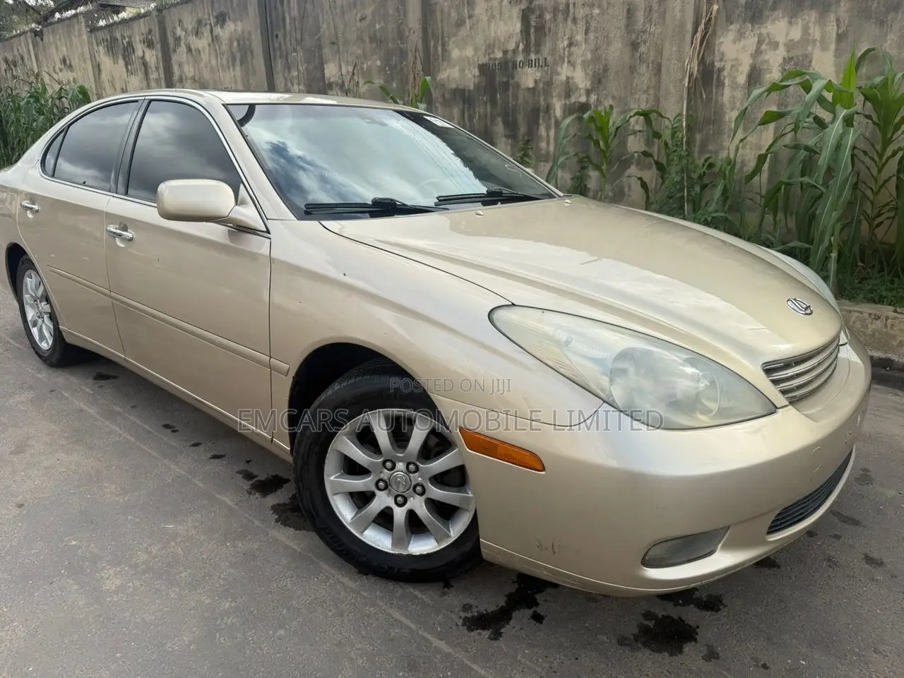 Lexus ES 330 Sedan 2004 Gold
