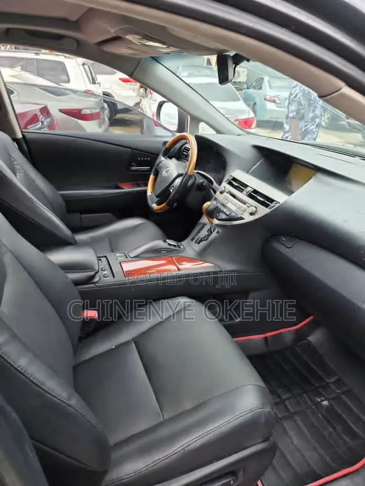 Lexus RX 2010 Gray