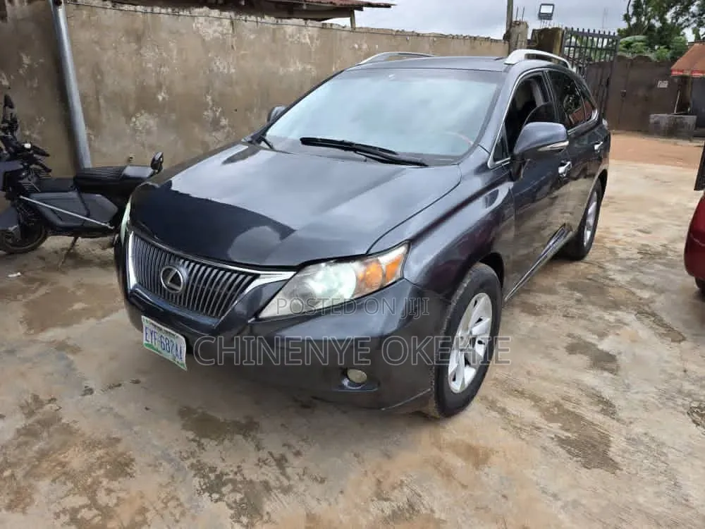 Lexus RX 2010 Gray